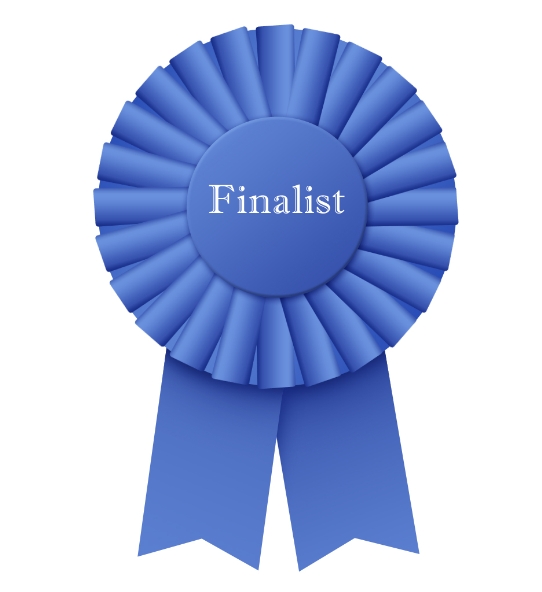 ITegrity selected as a finalist for the 15th Annual SECAF Awards